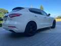 Maserati Levante Q4 Wit - thumbnail 4