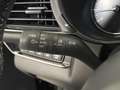 Mazda CX-30 2.5 m-hybrid homura s/portel.elettr.2wd 140cv 6mt Grau - thumbnail 12