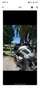 Yamaha MT-10 Grigio - thumbnail 6