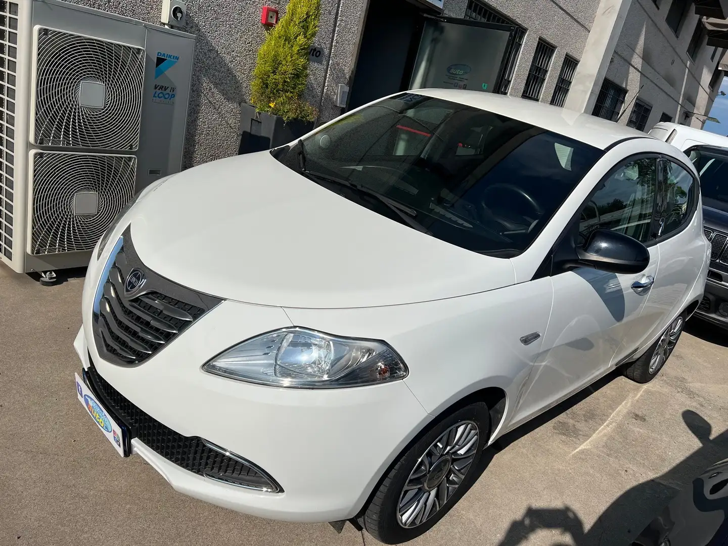 Lancia Ypsilon Ypsilon 1.2 8v Gold 69cv X NEOPATENTATI Bianco - 2
