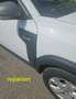 Dacia Duster Expression Mild Hybrid 140 Weiß - thumbnail 10