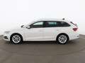 Skoda Octavia Combi 2.0 TDI First Edition Aut MATRIX Weiß - thumbnail 6