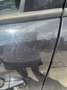 Opel Corsa 1.2 16V (ecoFLEX) Easytronic Color Edition - thumbnail 4