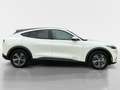 Ford Mustang Mach-E Basis Weiß - thumbnail 6