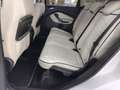 Ford Kuga Vignale 1.5 EcoB. S&S 4x4 Aut. 176 Blanco - thumbnail 9