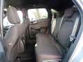 Ford Kuga ST Line FHEV Automatik Winterpaket  / FGS 5 Jahre Zilver - thumbnail 12