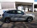 Ford Kuga ST Line FHEV Automatik Winterpaket  / FGS 5 Jahre Zilver - thumbnail 9
