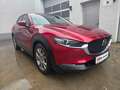 Mazda CX-30 G122 Comfort+/SO/ST/PR/TE Aut. Rot - thumbnail 1