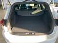 Ford Focus Turnier ST-Line 1.0 EcoBoost Kamera Bianco - thumbnail 14