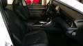 Toyota Camry 2.5 Hybrid VIP Aut. HUD 4xSHZ SpurH LED Blanco - thumbnail 25