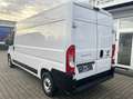 Fiat Ducato Kasten 35 140 L4H2*3 Sitzer*Navi* Blanc - thumbnail 4