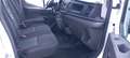 Ford Transit centina NO MAIL Blanc - thumbnail 12
