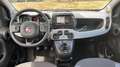 Fiat Panda III 1.0 70 City Cross - thumbnail 11