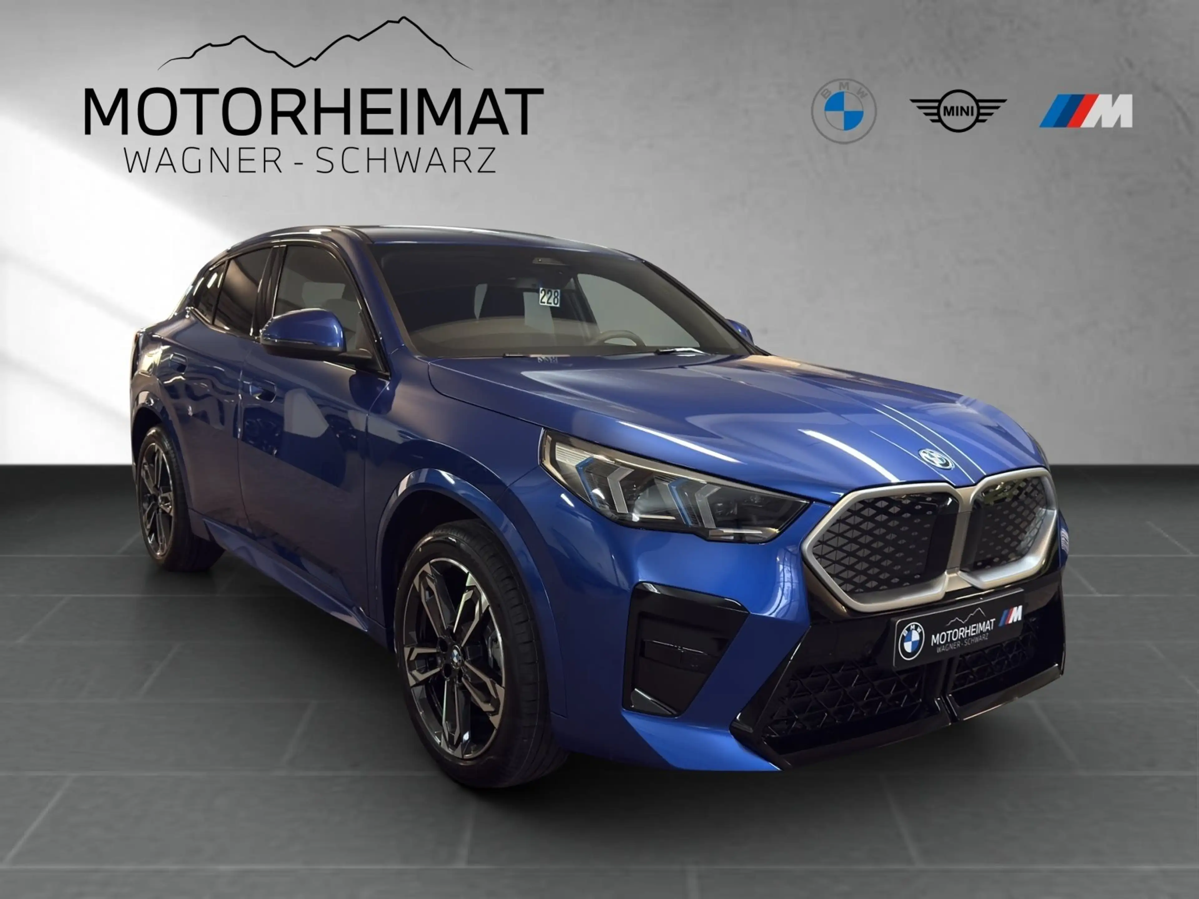 BMW iX2 eDrive20 M Sport Premium AHK 19" — photo 4