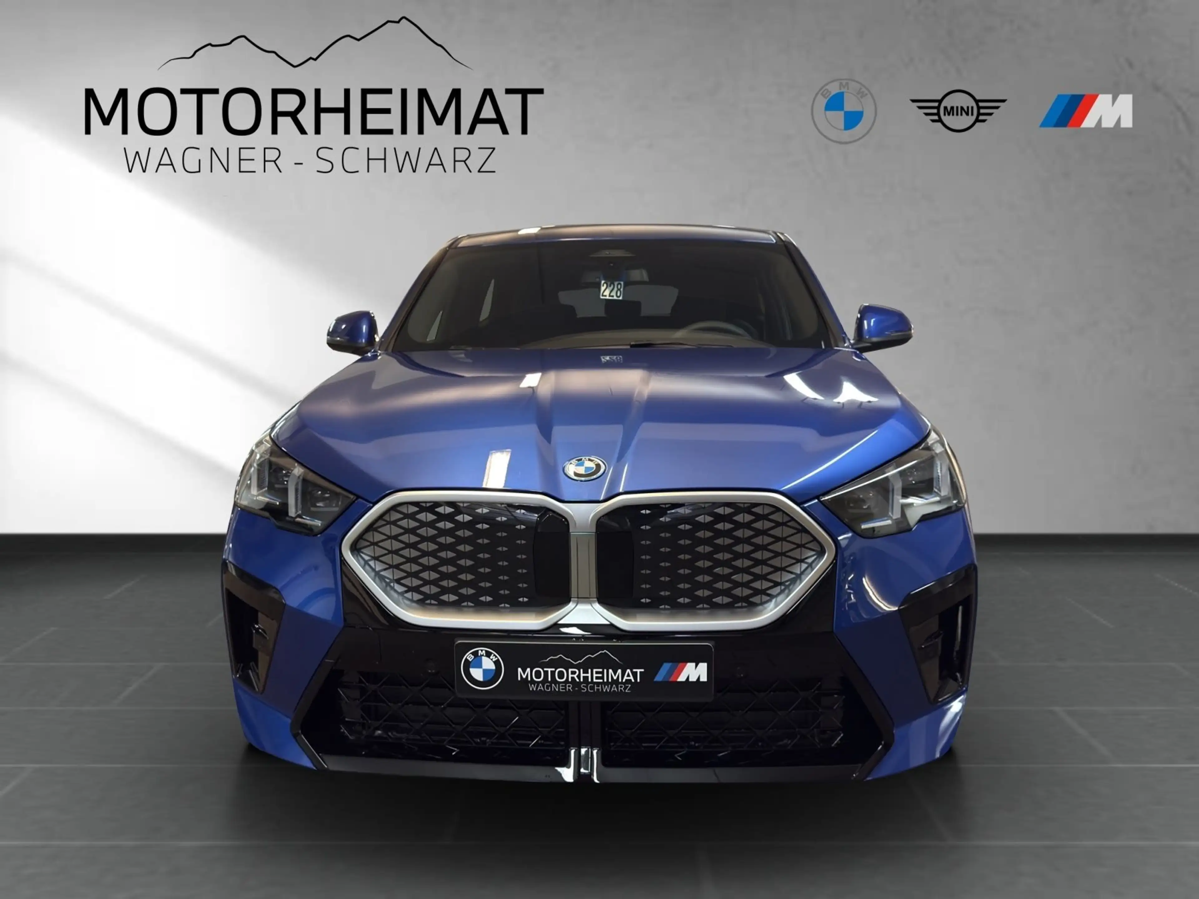 BMW iX2 eDrive20 M Sport Premium AHK 19" — photo 3