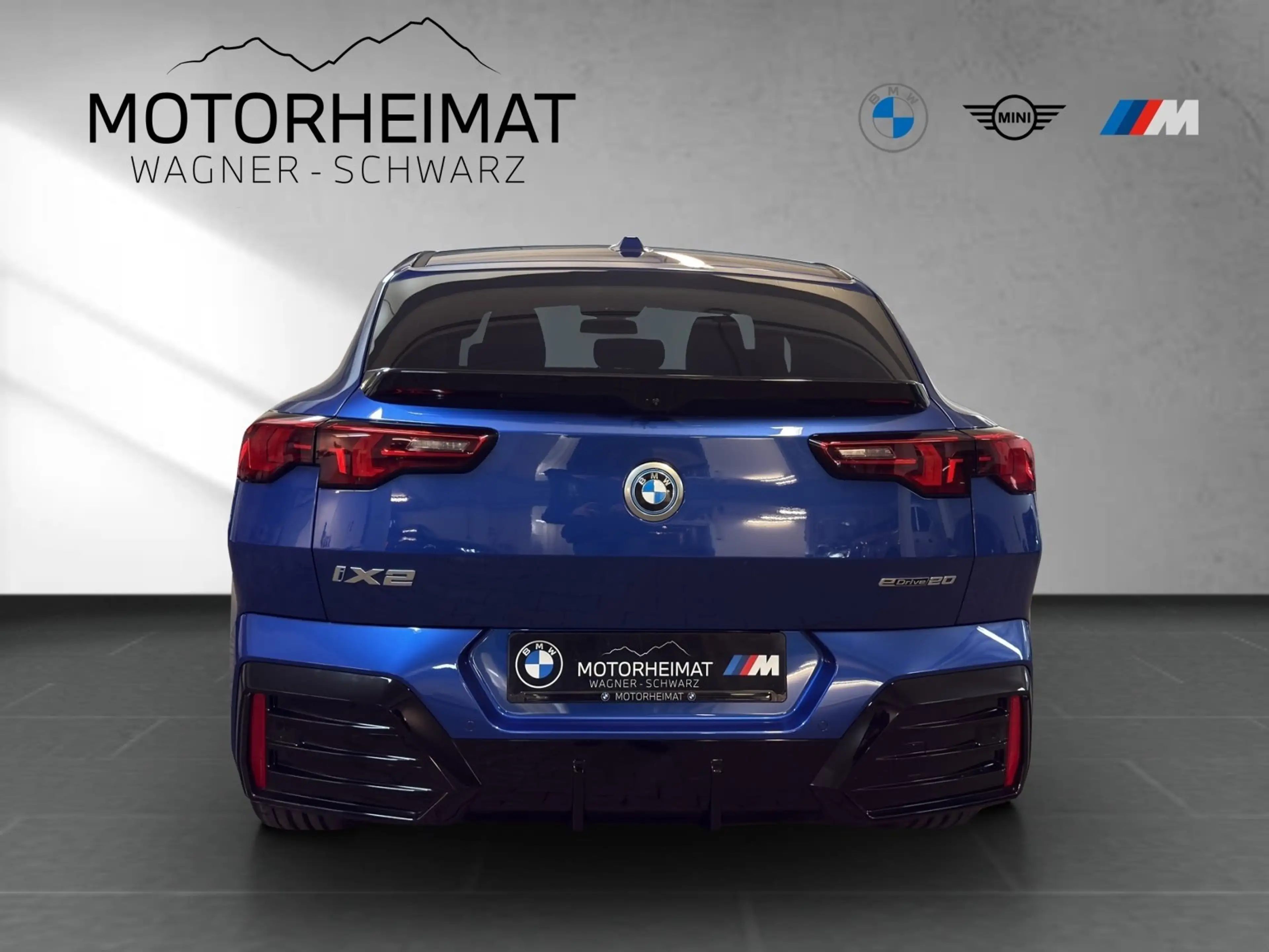BMW iX2 eDrive20 M Sport Premium AHK 19" — photo 6