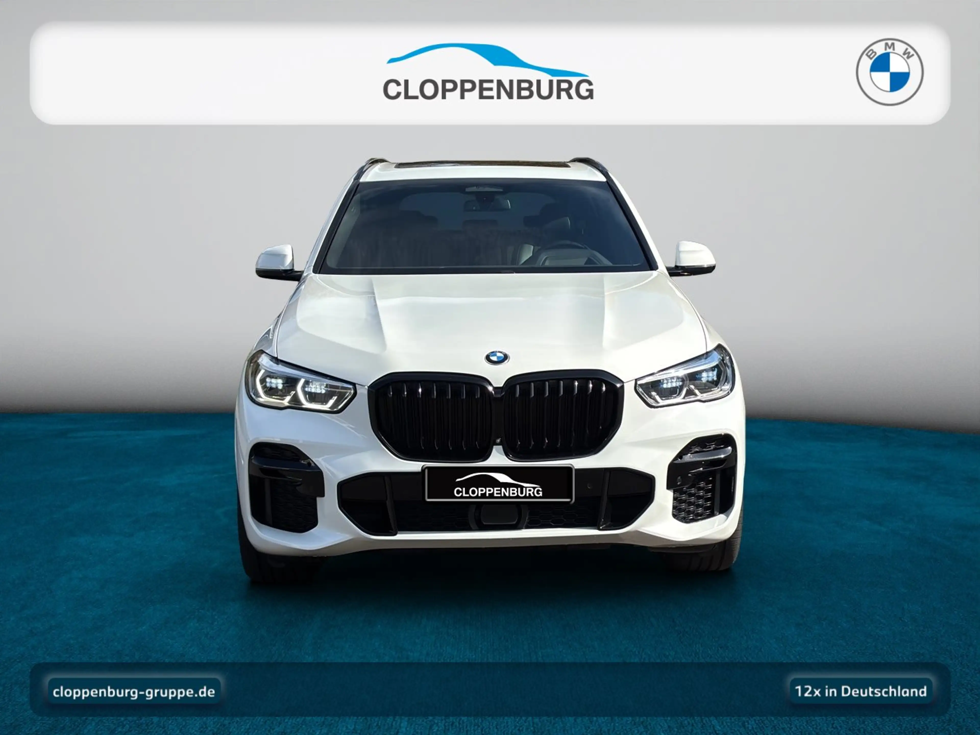 BMW X5 xDrive30d M Sport Head-Up+AHK+StHz+Navi+Pano — photo 9