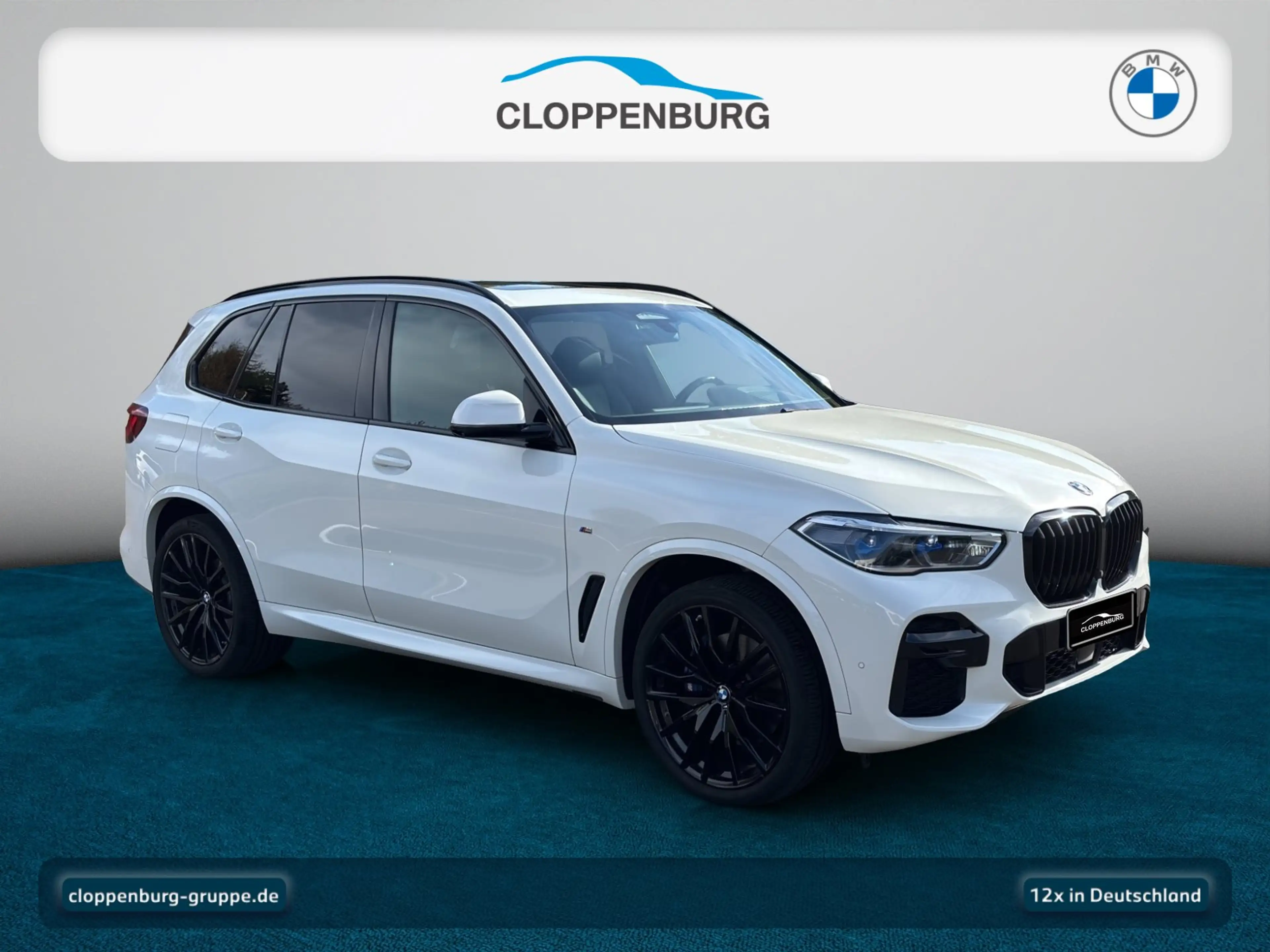 BMW X5 xDrive30d M Sport Head-Up+AHK+StHz+Navi+Pano — photo 8