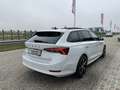 Skoda Octavia Combi 2,0 TDI 4x4 Style DSG/SPORTSITZE/RFK/PANO... Weiß - thumbnail 8
