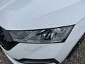 Skoda Octavia Combi 2,0 TDI 4x4 Style DSG/SPORTSITZE/RFK/PANO... Weiß - thumbnail 12