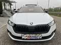 Skoda Octavia Combi 2,0 TDI 4x4 Style DSG/SPORTSITZE/RFK/PANO... Weiß - thumbnail 10