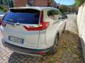 Honda CR-V CR-V V 2019 2.0 hev Elegance Navi ecvt Bianco - thumbnail 6