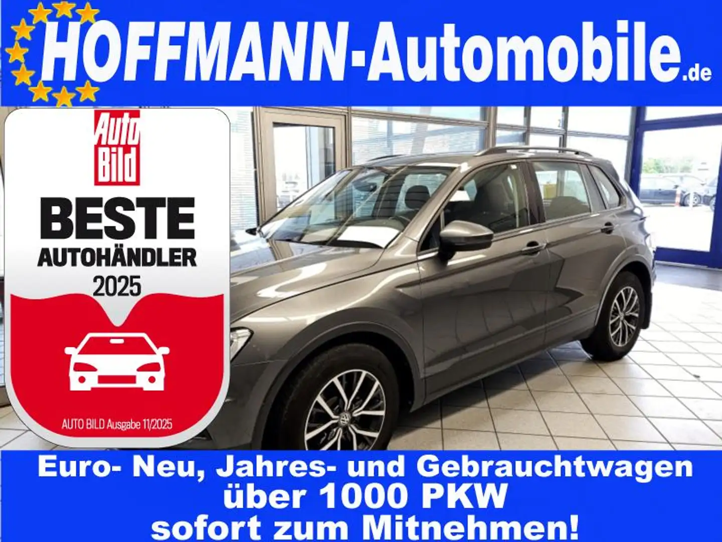 Volkswagen Tiguan Navi,Kamera,LED,Sitzheizung Grau - 1