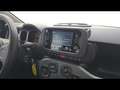 Fiat Panda 1.0 firefly hybrid City Life s&s 70cv Grigio - thumbnail 6