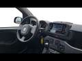 Fiat Panda 1.0 firefly hybrid City Life s&s 70cv Grigio - thumbnail 12