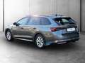 Skoda Octavia Combi 1.5 TSI Selection ASSIST+CARPLAY Grau - thumbnail 6