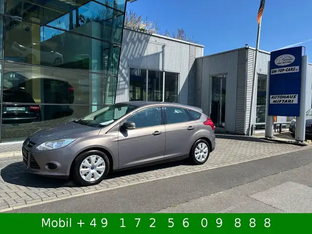 2014 Ford Focus in Brown for sale