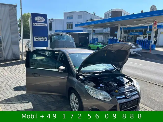 Ford Focus view 10