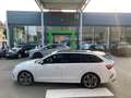 Skoda Octavia RS Plus 4x4 Panoramadach und AHK Weiß - thumbnail 8