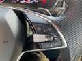Skoda Octavia RS Plus 4x4 Panoramadach und AHK Weiß - thumbnail 18