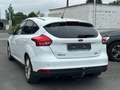 Ford Focus Focus 1.0 EcoBoost NAVIGATION GARANTIE Wit - thumbnail 13