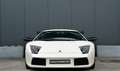 Lamborghini Murciélago 6.2 V12 *BALLOON WHITE/CAPRISTO/LIFT/CARBON/18"* Blanc - thumbnail 8