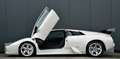 Lamborghini Murciélago 6.2 V12 *BALLOON WHITE/CAPRISTO/LIFT/CARBON/18"* Blanc - thumbnail 10