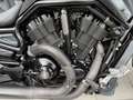 Harley-Davidson Night Rod Harley-Davidson VRSCDX Night Rod Special – 2015 – Gris - thumbnail 13