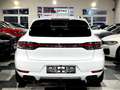 Porsche Macan 2.0 Turbo PDK Sport Design 1e Main Etat Neuf Blanc - thumbnail 6