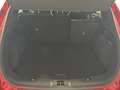 Ford Kuga 2.5 PHEV ST-LINE AUTO 225 5P Rot - thumbnail 11