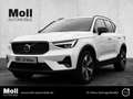Volvo XC40 Plus Dark 2WD B3 EU6d digitales Cockpit Memory Sit Weiß - thumbnail 1