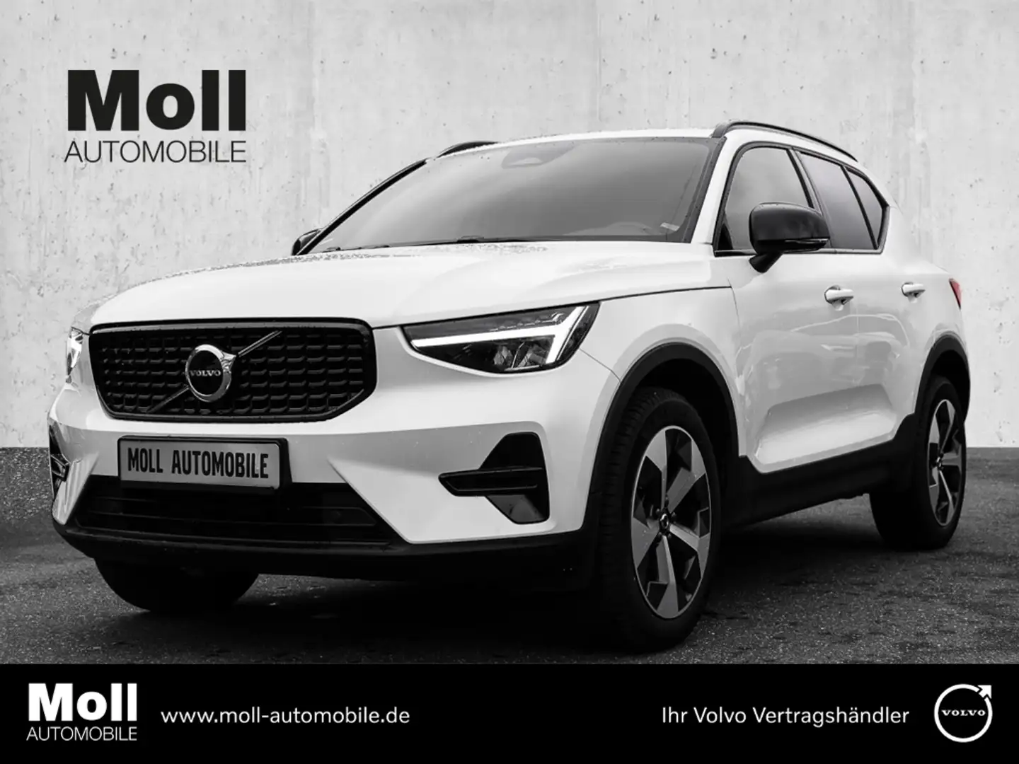 Volvo XC40 Plus Dark 2WD B3 EU6d digitales Cockpit Memory Sit Weiß - 1