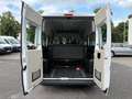 Fiat Ducato L2H2 Hochr.-Kombi 33 2xSCHIEBETÜR 9.SITZE Blanc - thumbnail 9