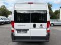 Fiat Ducato L2H2 Hochr.-Kombi 33 2xSCHIEBETÜR 9.SITZE Blanc - thumbnail 8