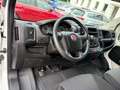 Fiat Ducato L2H2 Hochr.-Kombi 33 2xSCHIEBETÜR 9.SITZE Blanc - thumbnail 16