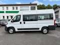 Fiat Ducato L2H2 Hochr.-Kombi 33 2xSCHIEBETÜR 9.SITZE Blanc - thumbnail 5