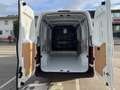Nissan Interstar L2H2 3,5 dCi 105 FWD MT - Acenta Weiß - thumbnail 9