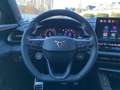CUPRA Terramar 2.0 TSI VZ 7-Gang DSG 4Drive NAVI+KLIMA Blau - thumbnail 15