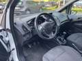 Ford B-Max 1.4 90 CV*Neopatentati* Bianco - thumbnail 9