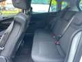 Ford B-Max 1.4 90 CV*Neopatentati* Bianco - thumbnail 14